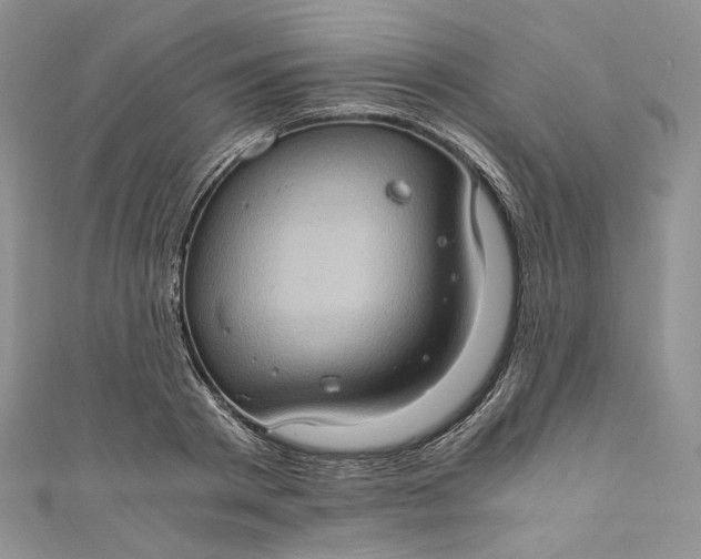 X0000110890793200907021516