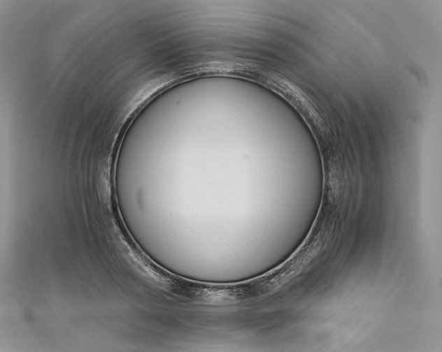 X0000110890794200907021516