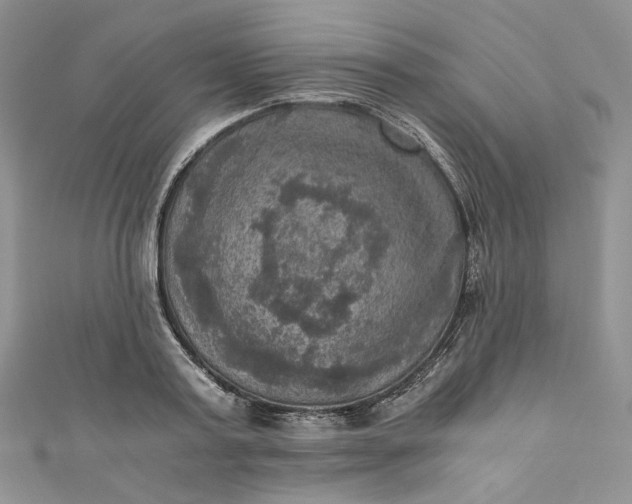 X0000110890795200907021516