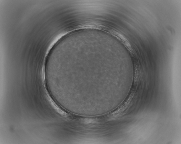 X0000110890796200907021516