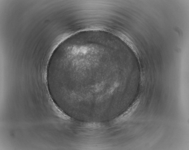 X0000110890797200907021516