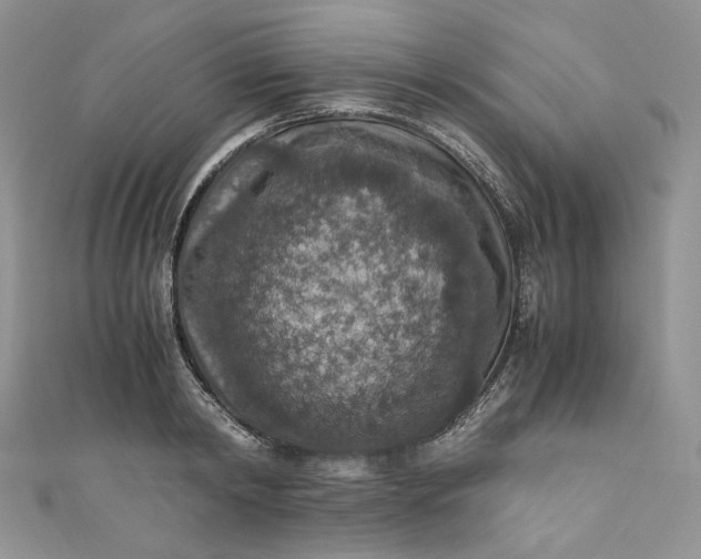 X0000110890798200907021516