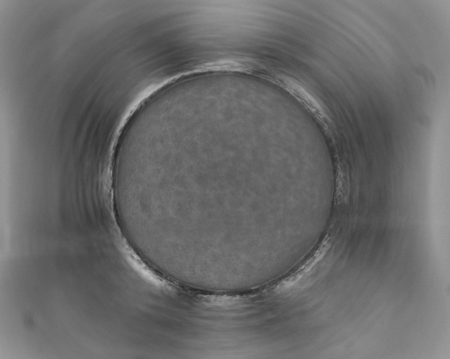 X0000110890800200907021516