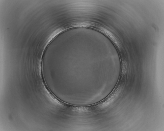 X0000110890802200907021516