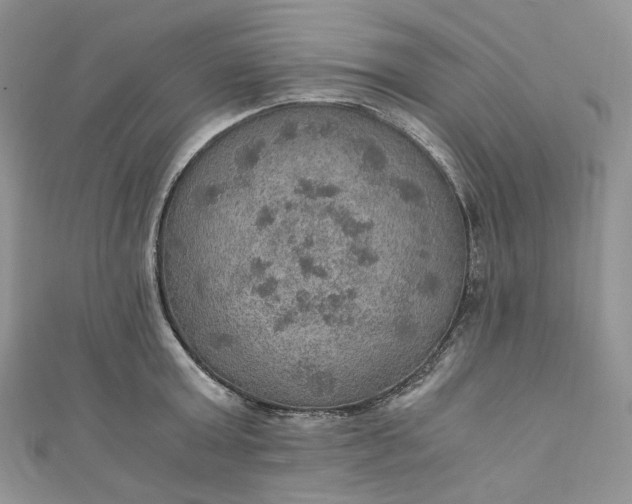 X0000110890803200907021516