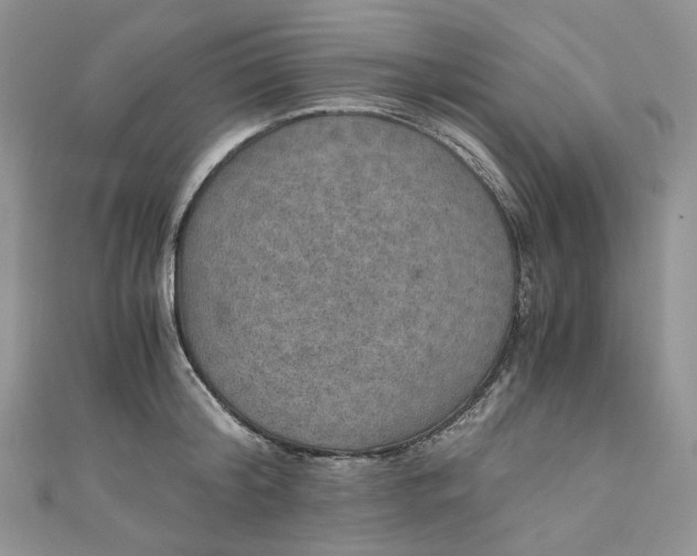 X0000110890804200907021516