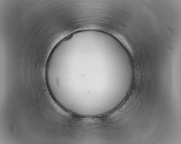 X0000110890805200907021516