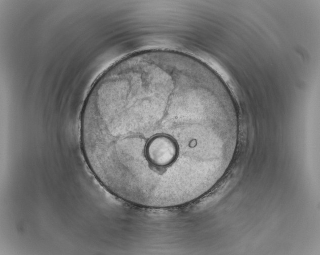 X0000110890807200907021516