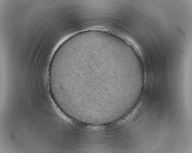 X0000110890808200907021516