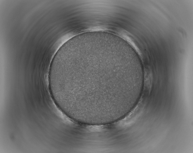 X0000110890810200907021516