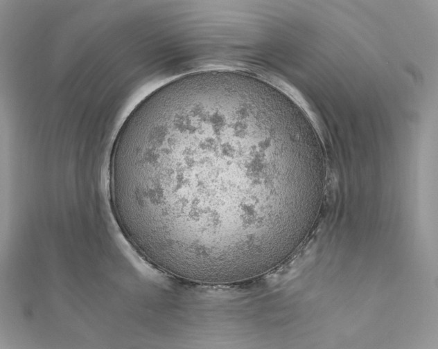 X0000110890811200907021516