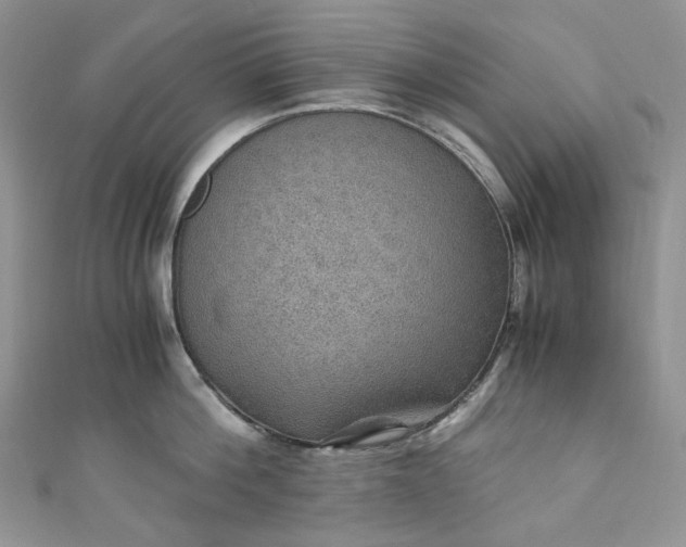 X0000110890812200907021516