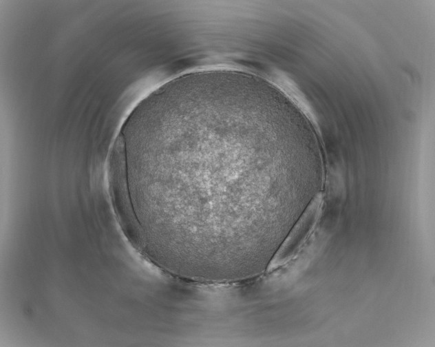 X0000110890813200907021516