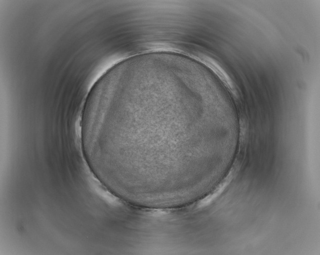 X0000110890814200907021516