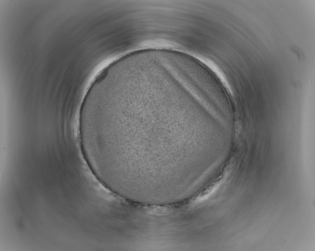 X0000110890815200907021516