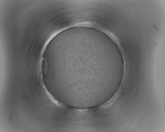 X0000110890816200907021516