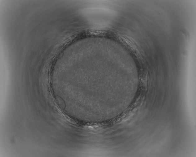 X0000110890817200907021515