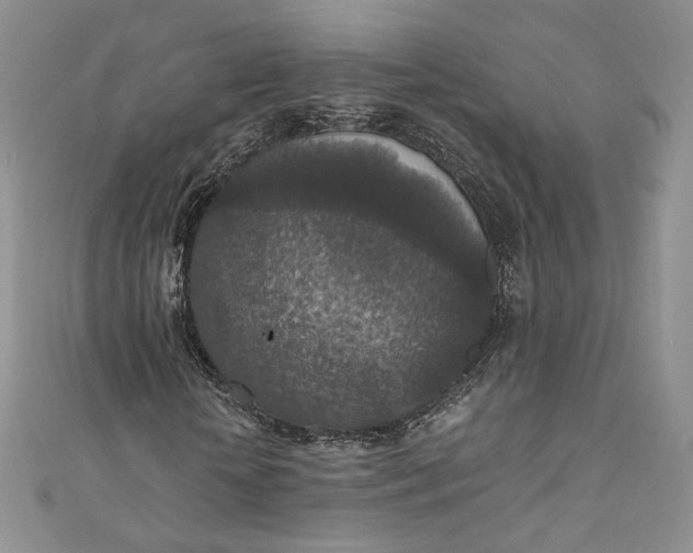 X0000110890818200907021515