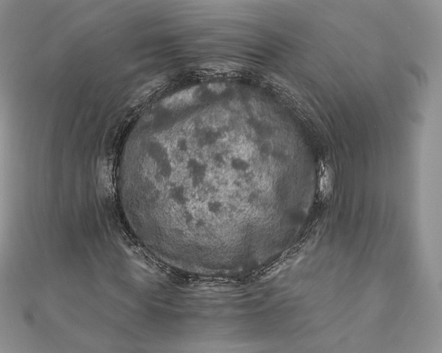 X0000110890819200907021515