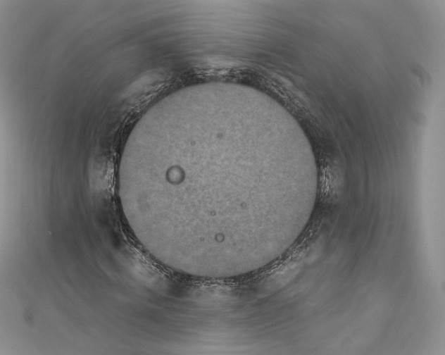 X0000110890820200907021515