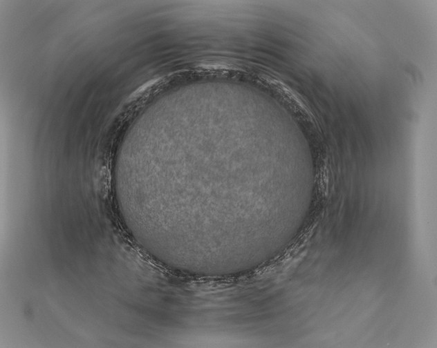 X0000110890821200907021515