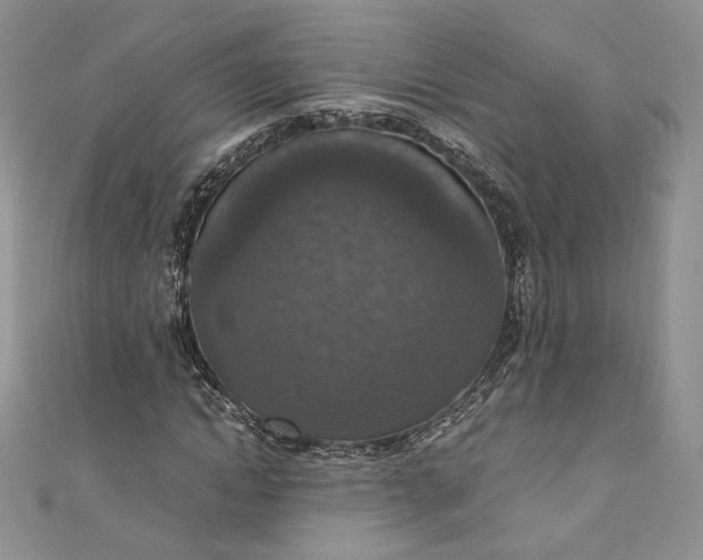 X0000110890822200907021515