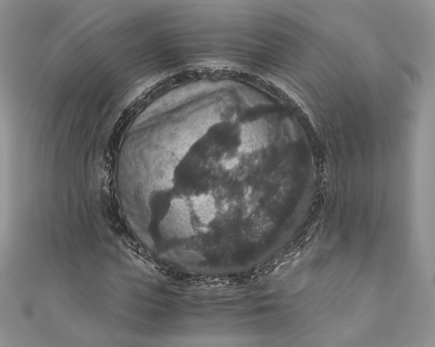 X0000110890823200907021515