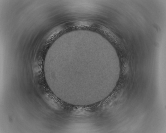 X0000110890824200907021515