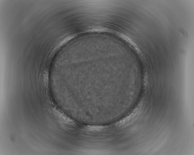 X0000110890825200907021515