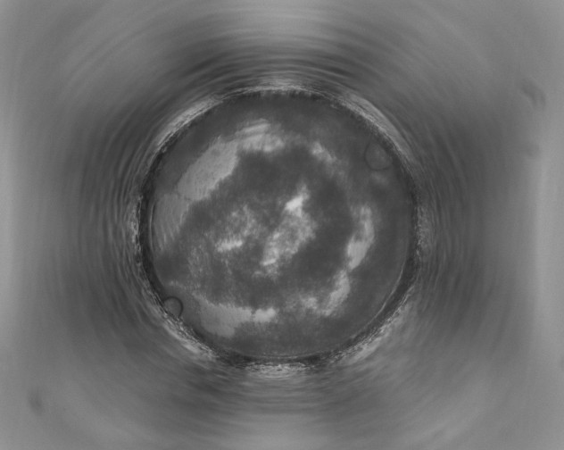 X0000110890826200907021515