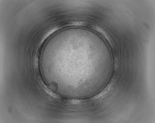 X0000110890827200907021515