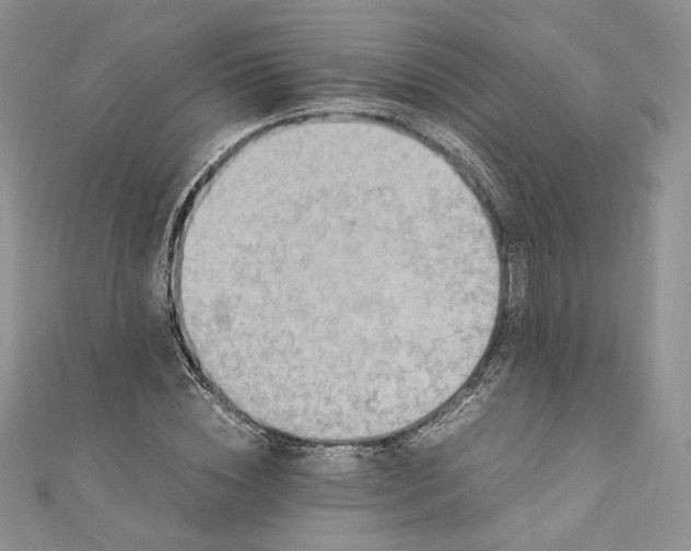 X0000110890828200907021515