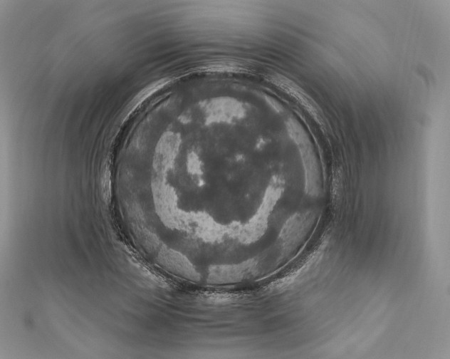 X0000110890829200907021515