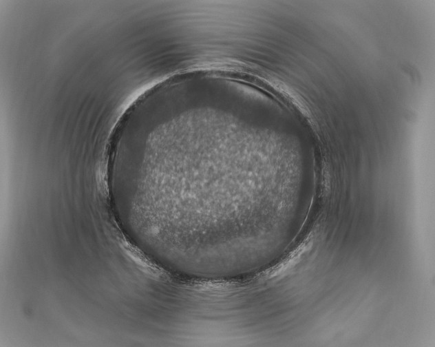 X0000110890830200907021515