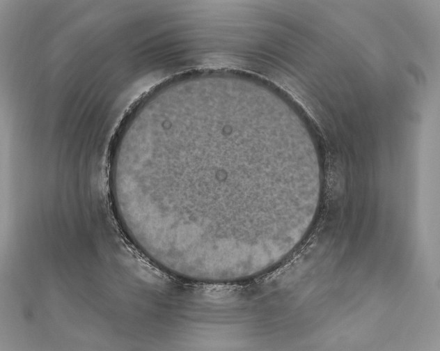 X0000110890832200907021515