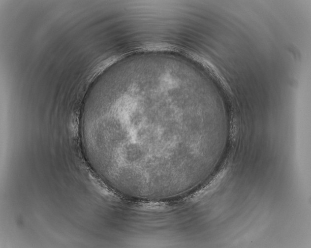 X0000110890833200907021515