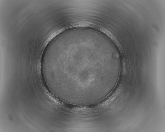 X0000110890834200907021515