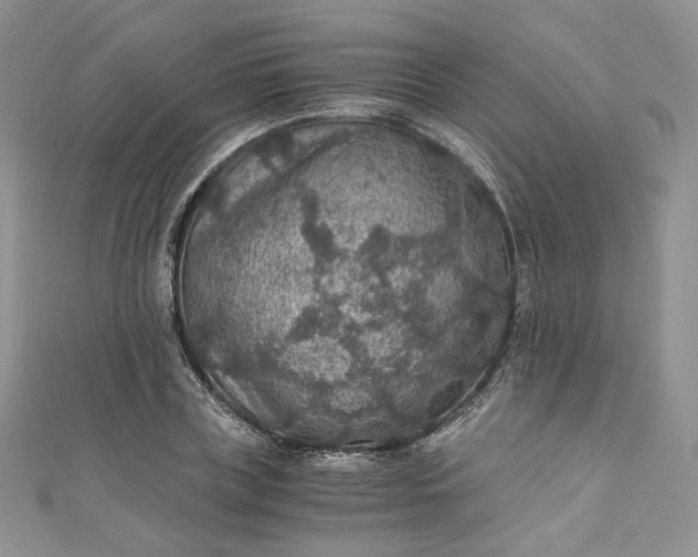 X0000110890835200907021515