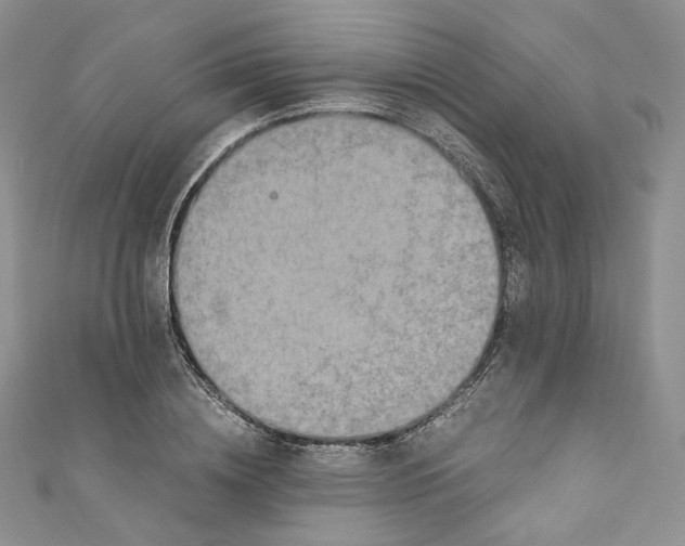 X0000110890836200907021515