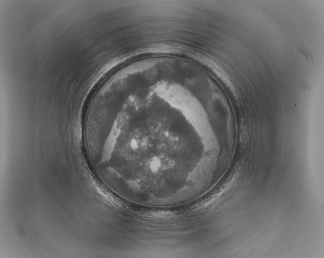 X0000110890837200907021515