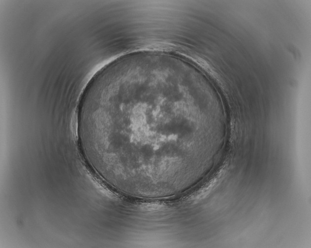 X0000110890838200907021515