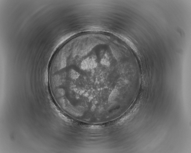 X0000110890839200907021515