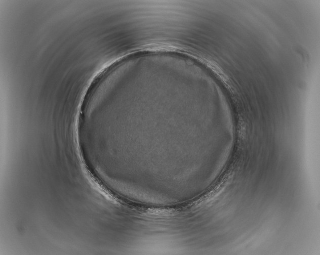 X0000110890840200907021515