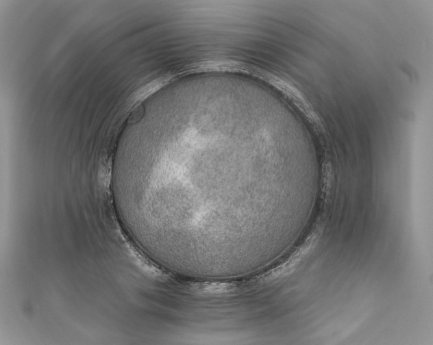 X0000110890841200907021515