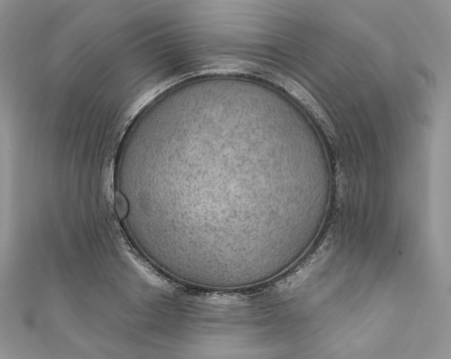 X0000110890842200907021515