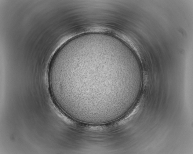 X0000110890843200907021515