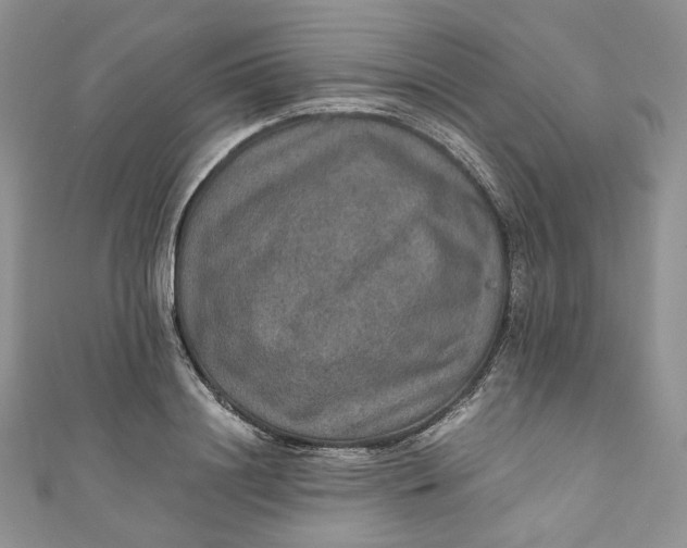 X0000110890844200907021515