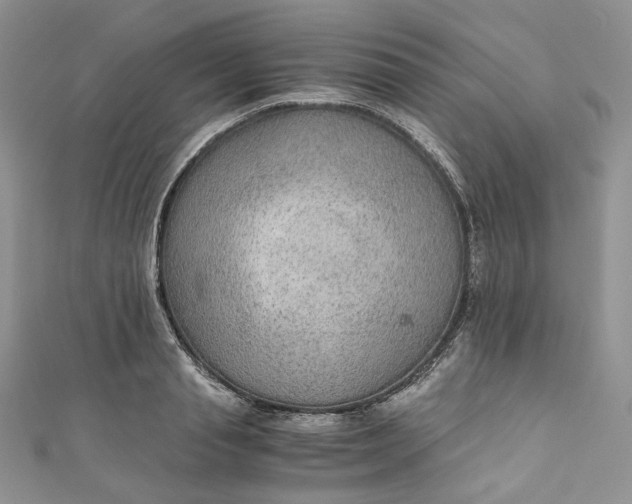 X0000110890845200907021516