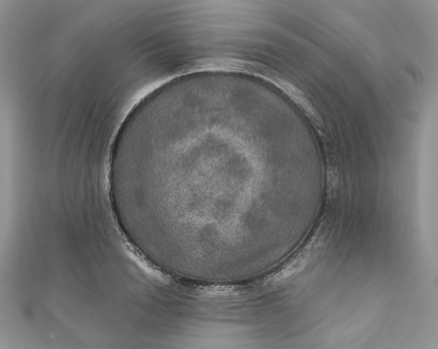 X0000110890846200907021516