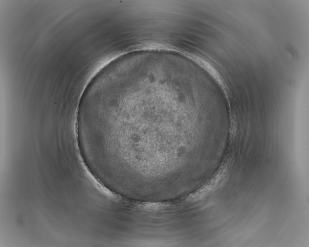 X0000110890847200907021516